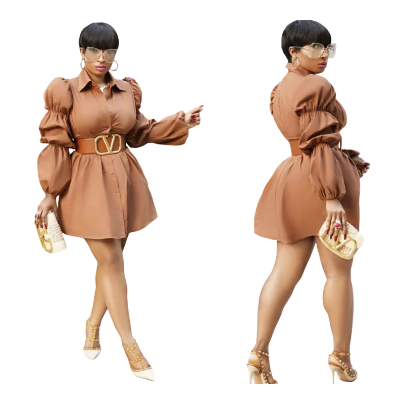 Elegant Shirt Dress