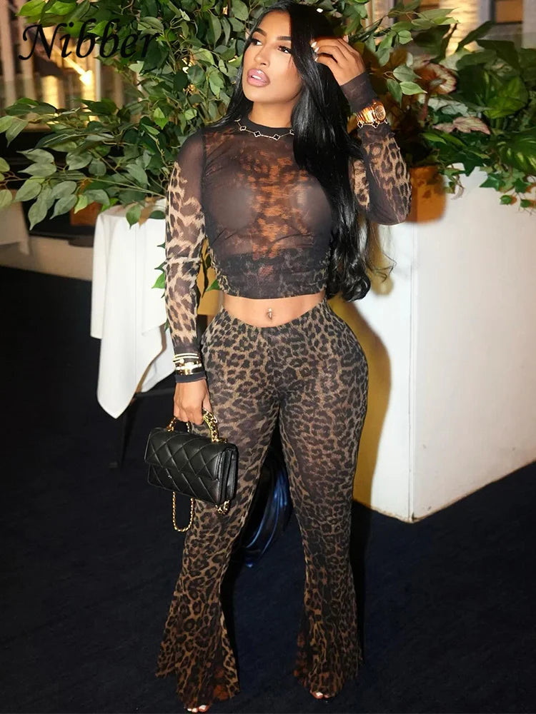 Mesh Nibber 2 piece set