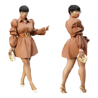Elegant Shirt Dress