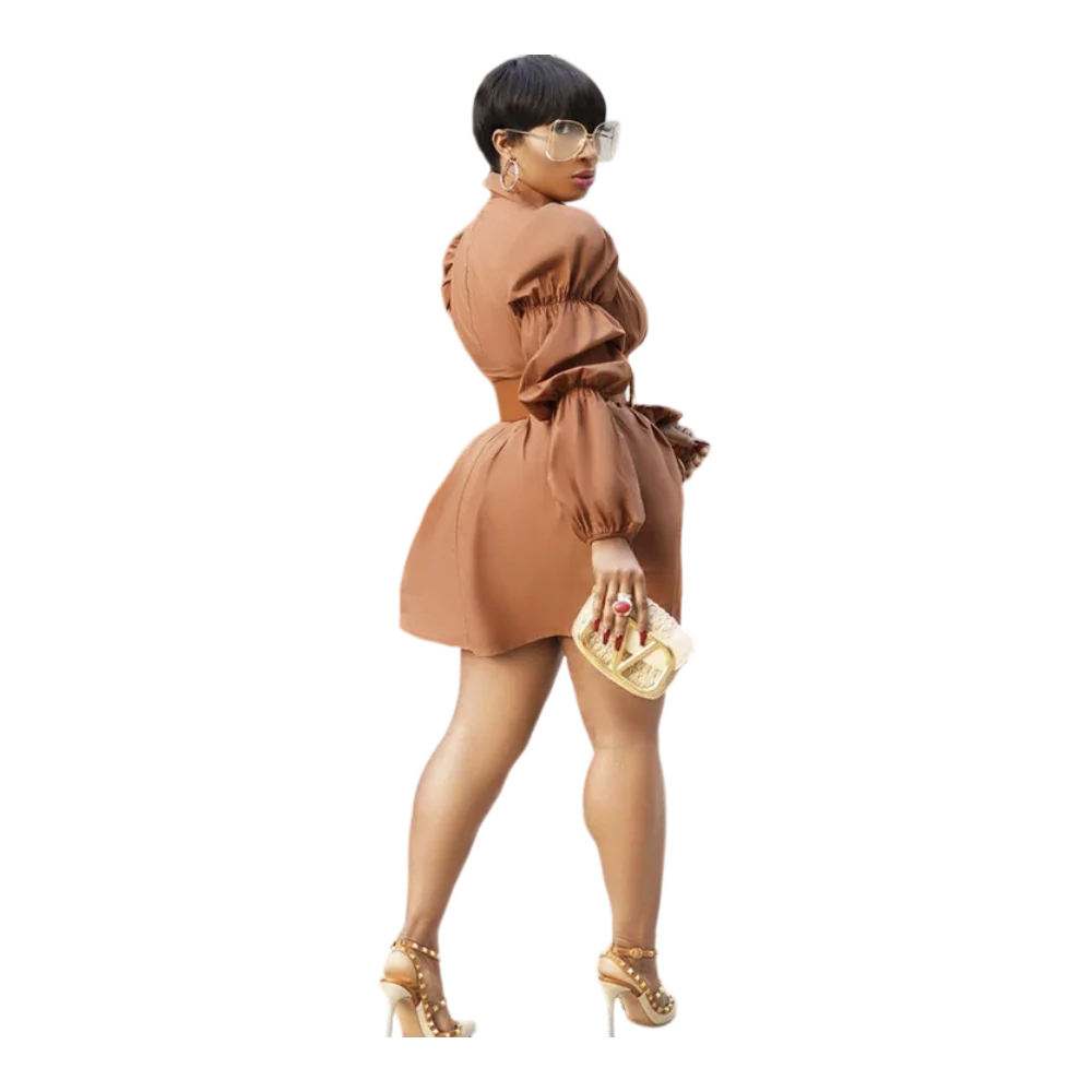 Elegant Shirt Dress