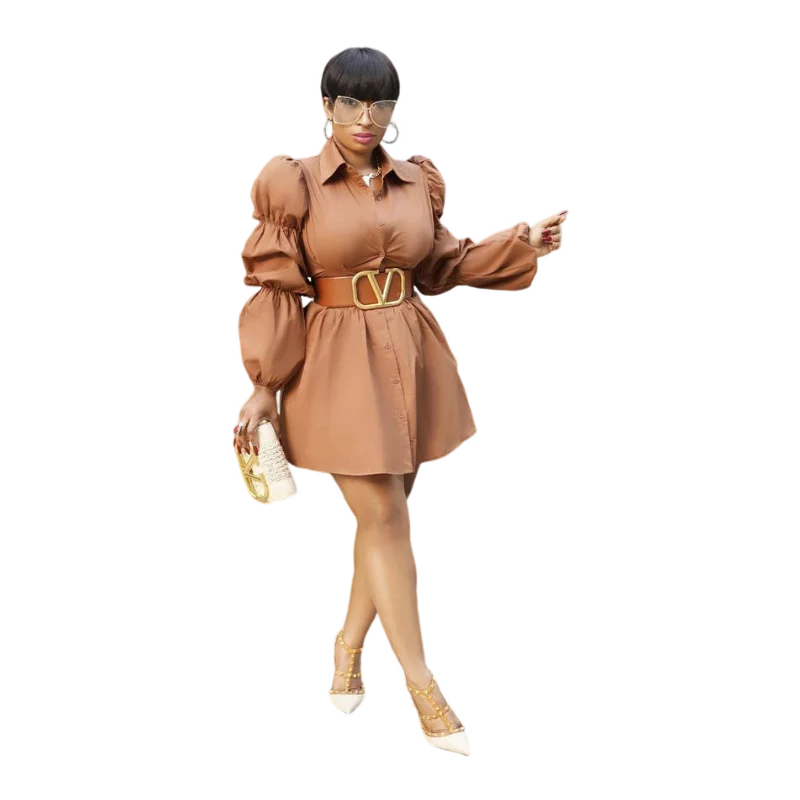 Elegant Shirt Dress