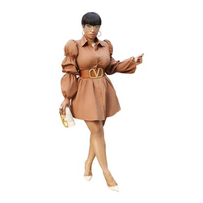 Elegant Shirt Dress